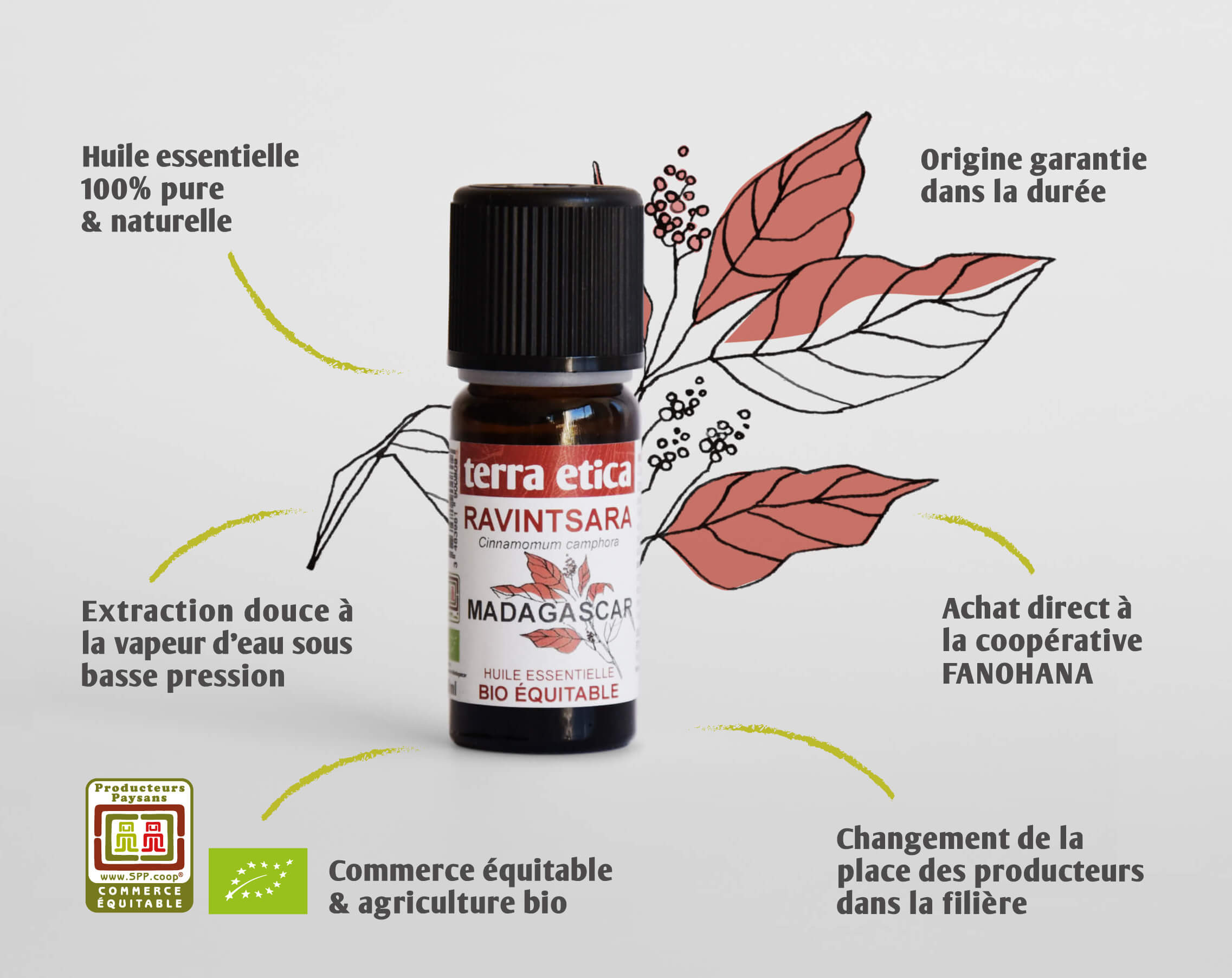 https://www.cafemichel.fr/648/terra-etica-huile-essentielle-ravintsara-madagascar-biologique-equitable.jpg
