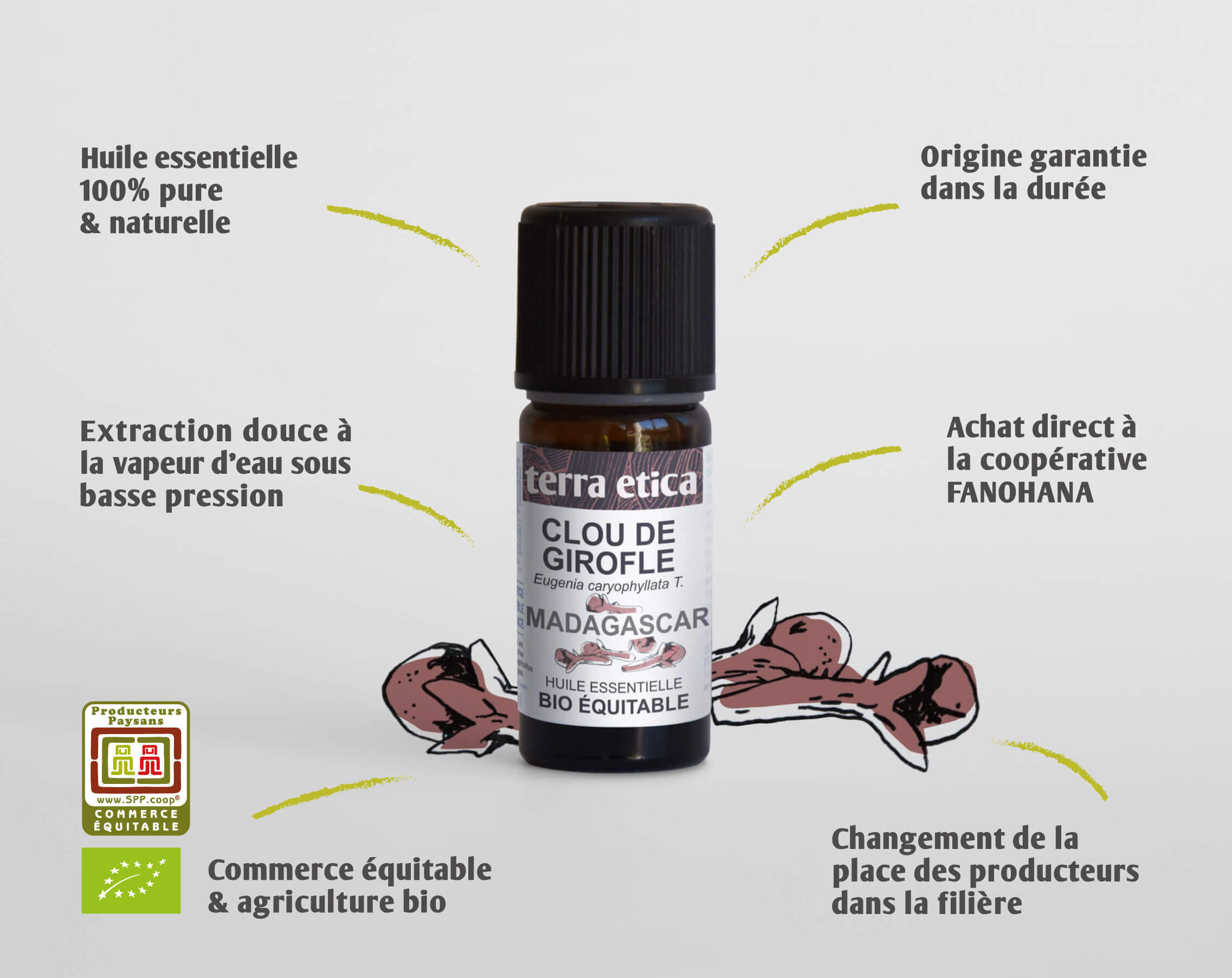 Pure huile essentielle Clou de Girofle bio et équitable I Terra Etica