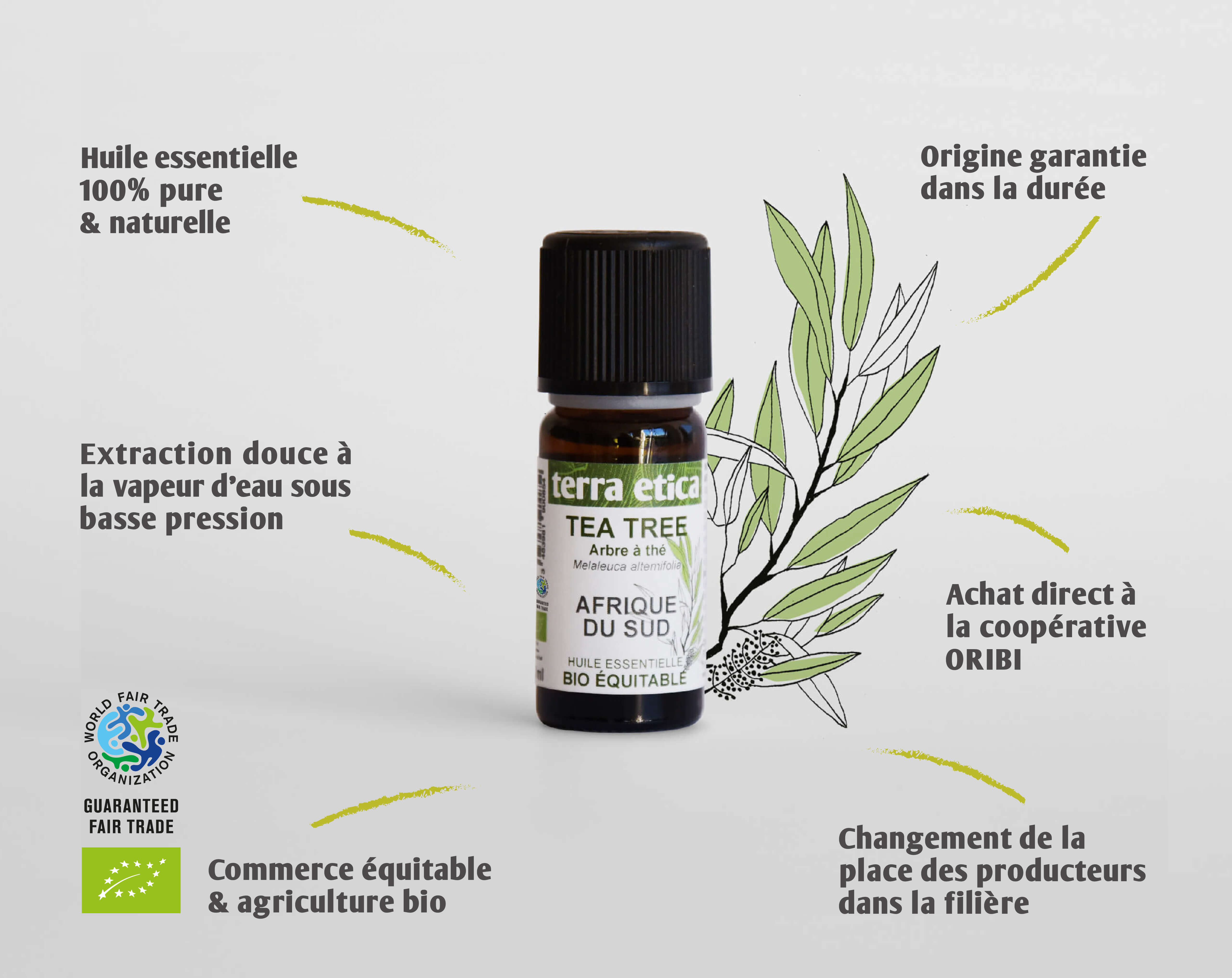 Pure huile essentielle Tea tree biologique et équitable I Terra Etica