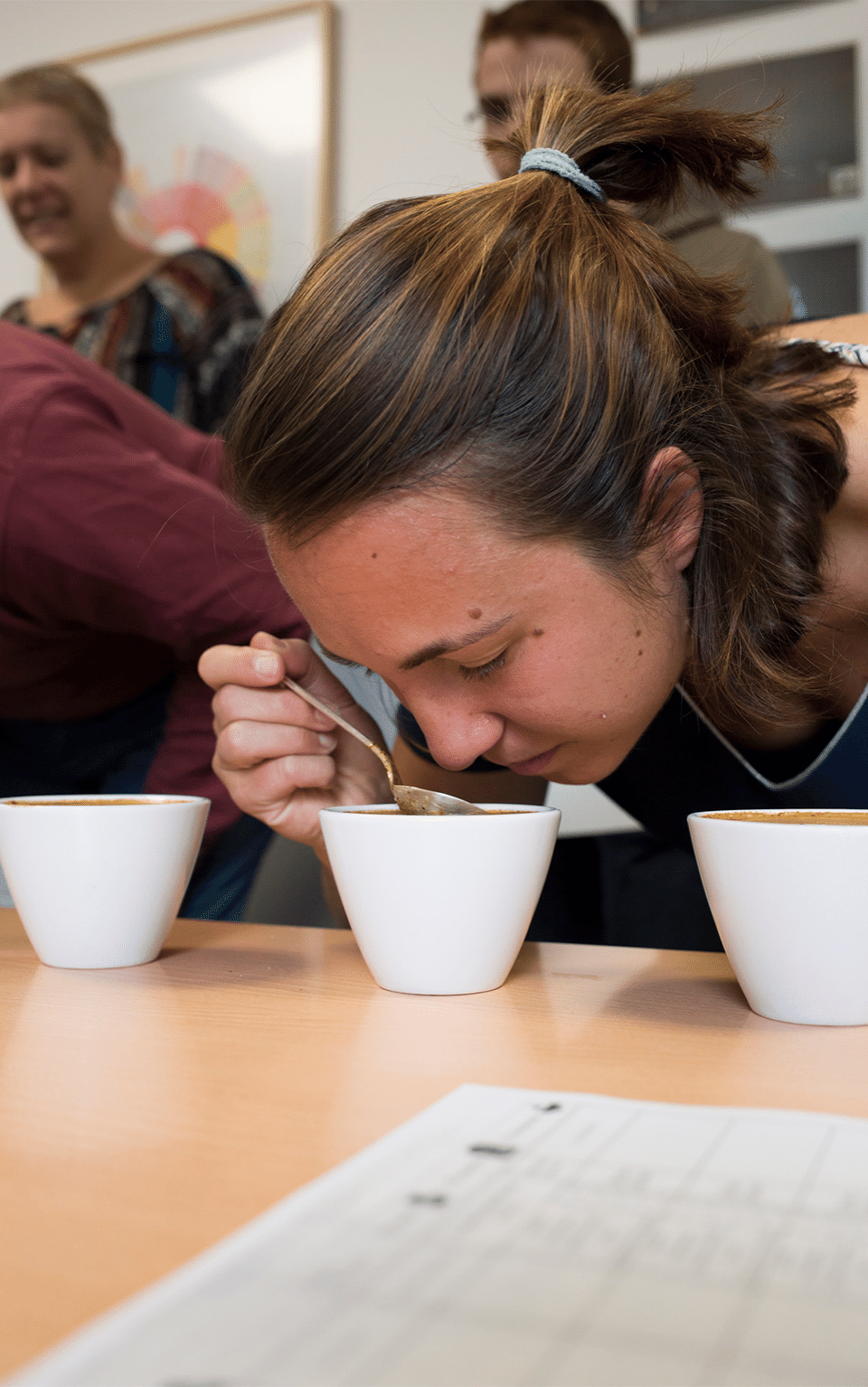 Cuillère doseuse pour le café de Hario I Café Michel