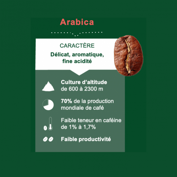 Arabica bio en dosette souple Honduras issu du Commerce Equitable